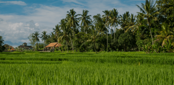 Land_Buy&Sell_Header Land_Buy&Sell_Header
